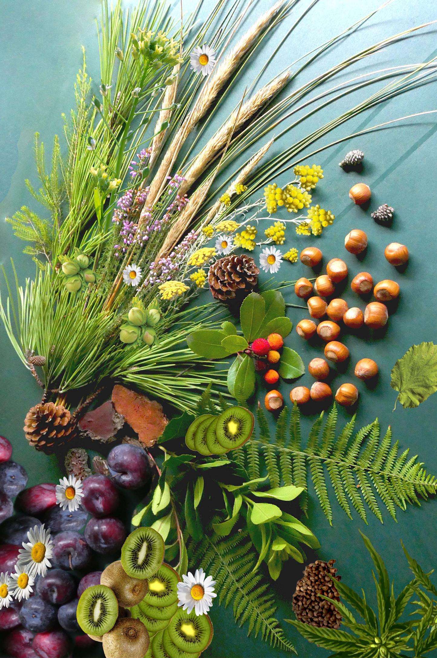 GOUTTE – MERVEILLE DES LANDES BIO – Soin peaux sensibles Régénération complète