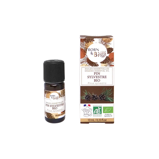 Huile essentielle Pin sylvestre Certifiée Bio